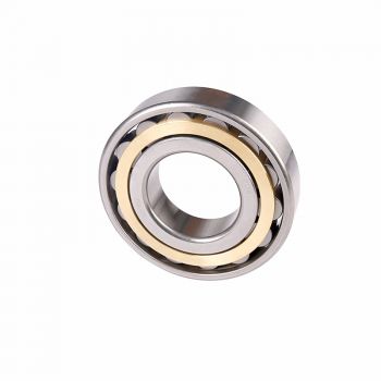 N series cylindrical roller bearings