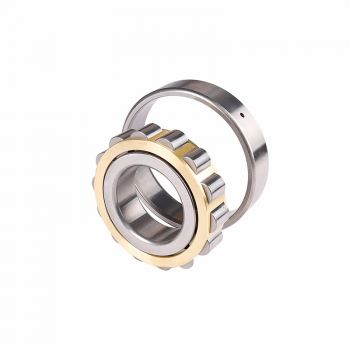 N series cylindrical roller bearings