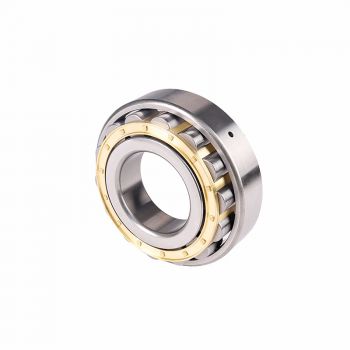 N series cylindrical roller bearings