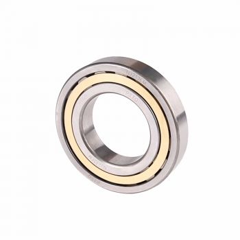 NJ series cylindrical roller bearings